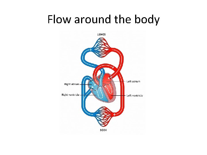 Flow around the body 
