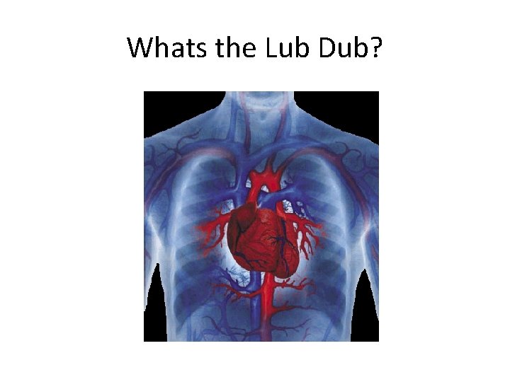 Whats the Lub Dub? 