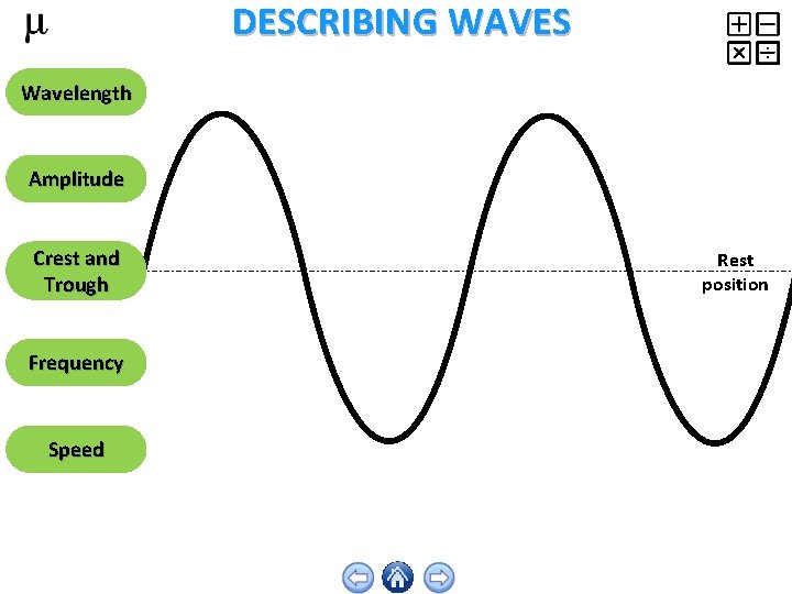 DESCRIBING WAVES Wavelength Amplitude Crest and Trough Frequency Speed Rest position 