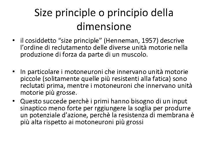 Size principle o principio della dimensione • il cosiddetto “size principle” (Henneman, 1957) descrive