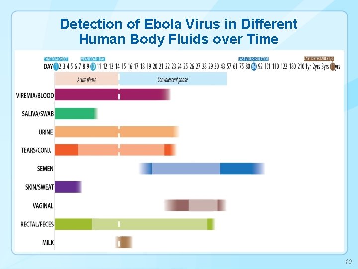 Detection of Ebola Virus in Different Human Body Fluids over Time 10 