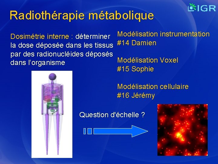 Radiothérapie métabolique Dosimétrie interne : déterminer Modélisation instrumentation la dose déposée dans les tissus