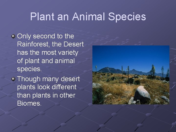 Plant an Animal Species Only second to the Rainforest, the Desert has the most