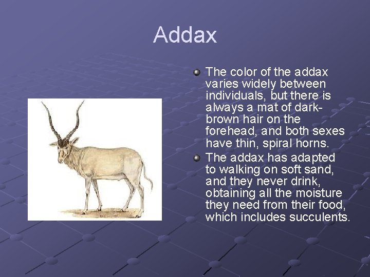 Addax The color of the addax varies widely between individuals, but there is always