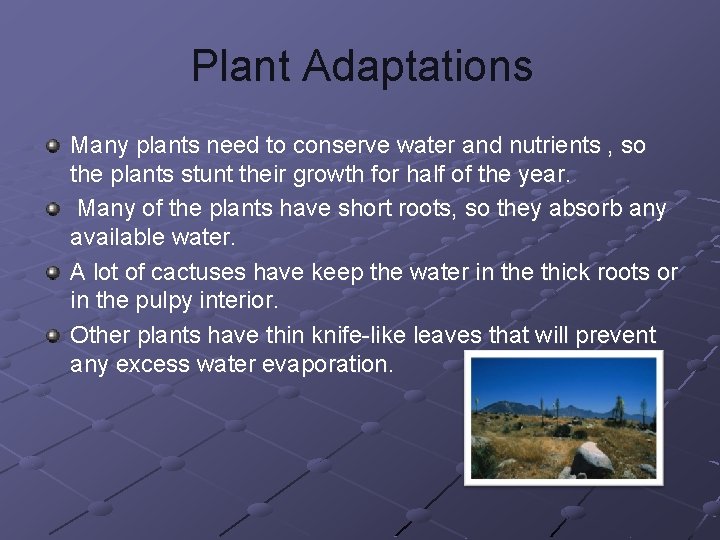 Plant Adaptations Many plants need to conserve water and nutrients , so the plants