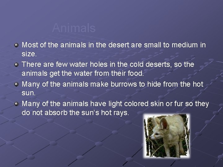 Animals Most of the animals in the desert are small to medium in size.