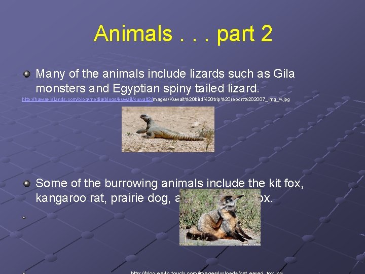 Animals. . . part 2 Many of the animals include lizards such as Gila