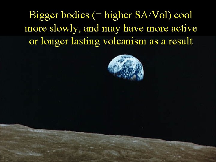 Bigger bodies (= higher SA/Vol) cool more slowly, and may have more active or
