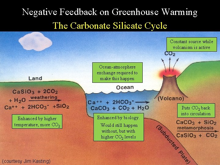 Negative Feedback on Greenhouse Warming The Carbonate Silicate Cycle Constant source while volcanism is