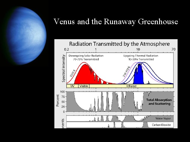 Venus and the Runaway Greenhouse 