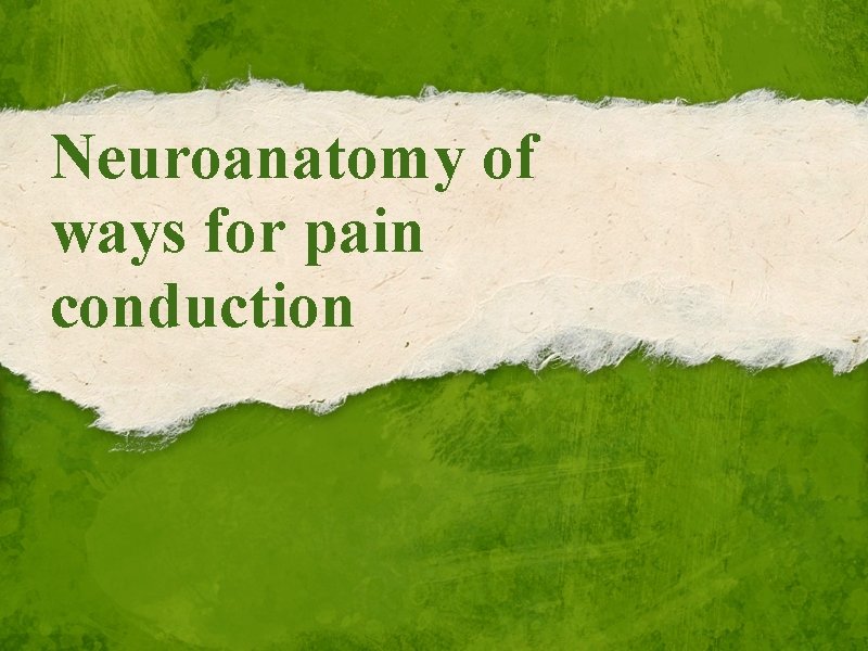 Neuroanatomy of ways for pain conduction 