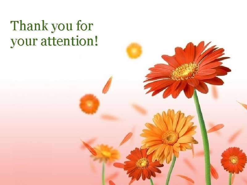 Thank you for your attention! 