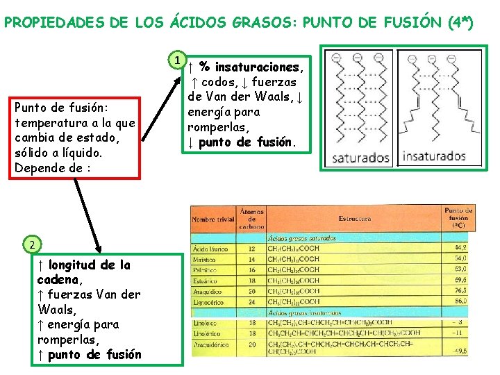 PROPIEDADES DE LOS ÁCIDOS GRASOS: PUNTO DE FUSIÓN (4*) 1 Punto de fusión: temperatura