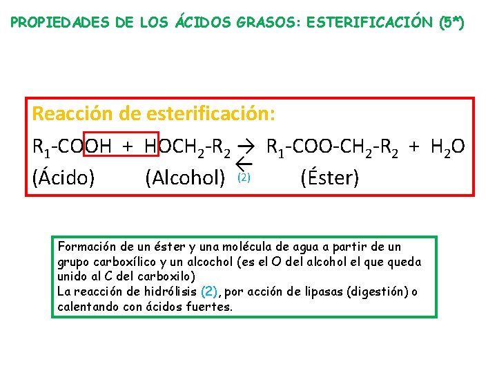 PROPIEDADES DE LOS ÁCIDOS GRASOS: ESTERIFICACIÓN (5*) Reacción de esterificación: R 1 -COOH +