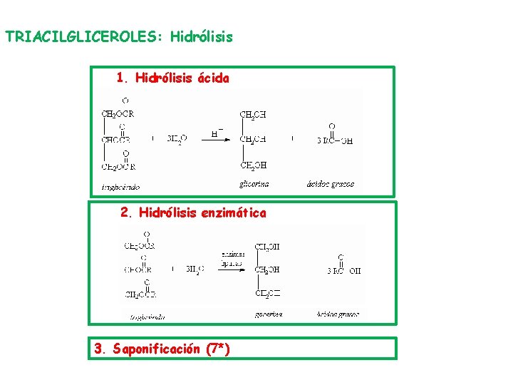 TRIACILGLICEROLES: Hidrólisis 1. Hidrólisis ácida 2. Hidrólisis enzimática 3. Saponificación (7*) 