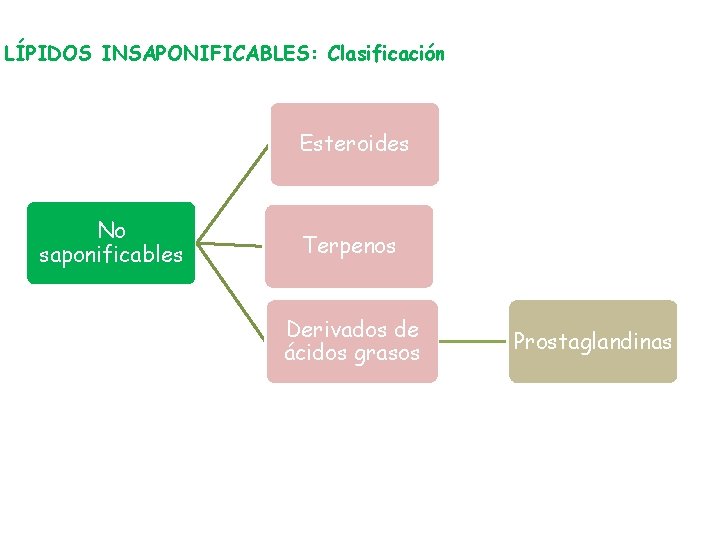 LÍPIDOS INSAPONIFICABLES: Clasificación Esteroides No saponificables Terpenos Derivados de ácidos grasos Prostaglandinas 