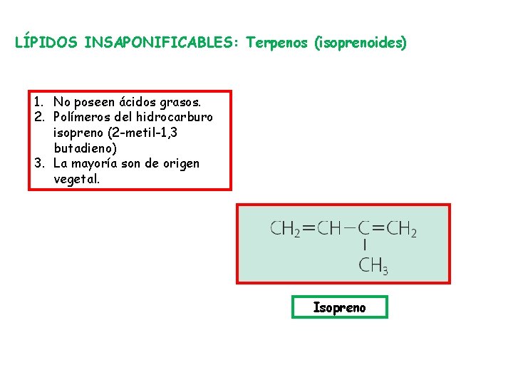 LÍPIDOS INSAPONIFICABLES: Terpenos (isoprenoides) 1. No poseen ácidos grasos. 2. Polímeros del hidrocarburo isopreno