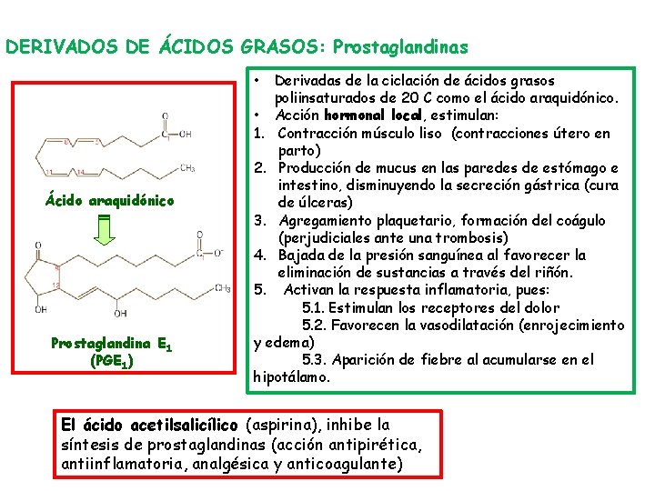 DERIVADOS DE ÁCIDOS GRASOS: Prostaglandinas Derivadas de la ciclación de ácidos grasos poliinsaturados de
