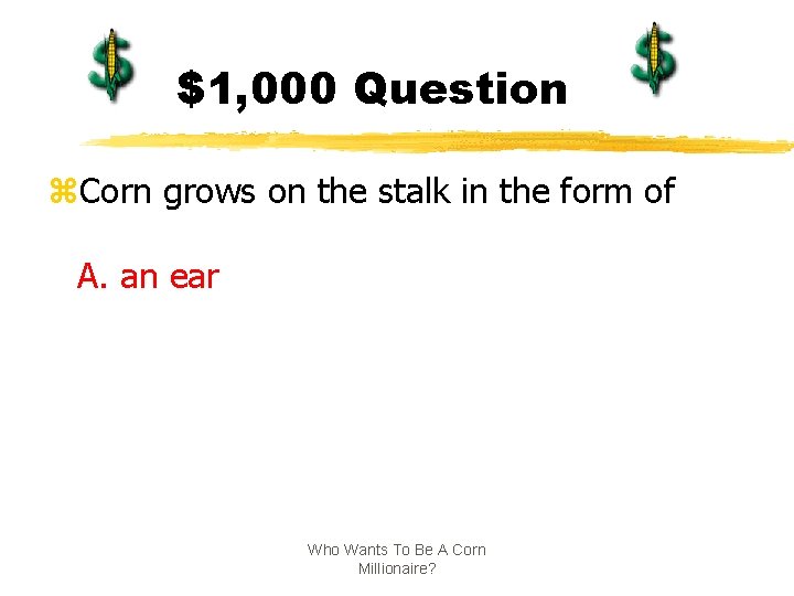 $1, 000 Question z. Corn grows on the stalk in the form of A.