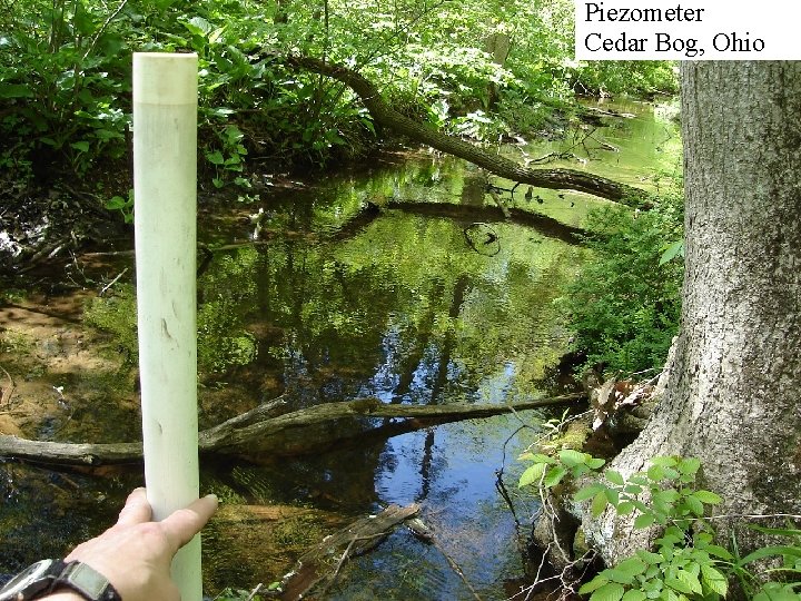 Piezometer Cedar Bog, Ohio 