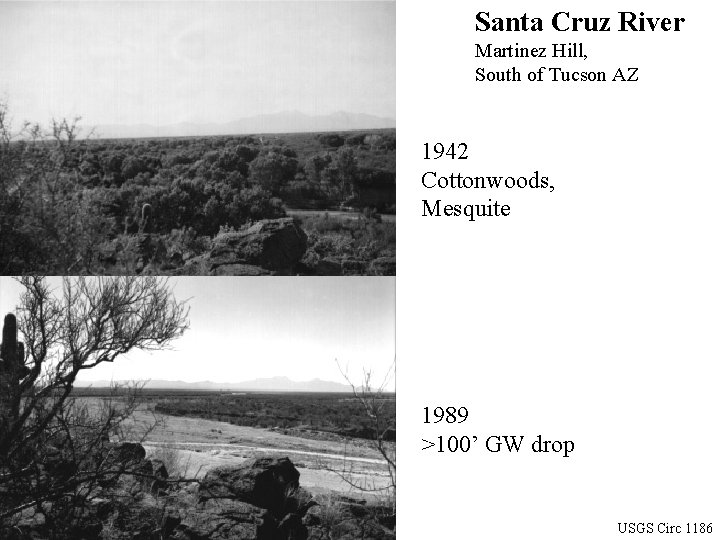 Santa Cruz River Martinez Hill, South of Tucson AZ 1942 Cottonwoods, Mesquite 1989 >100’