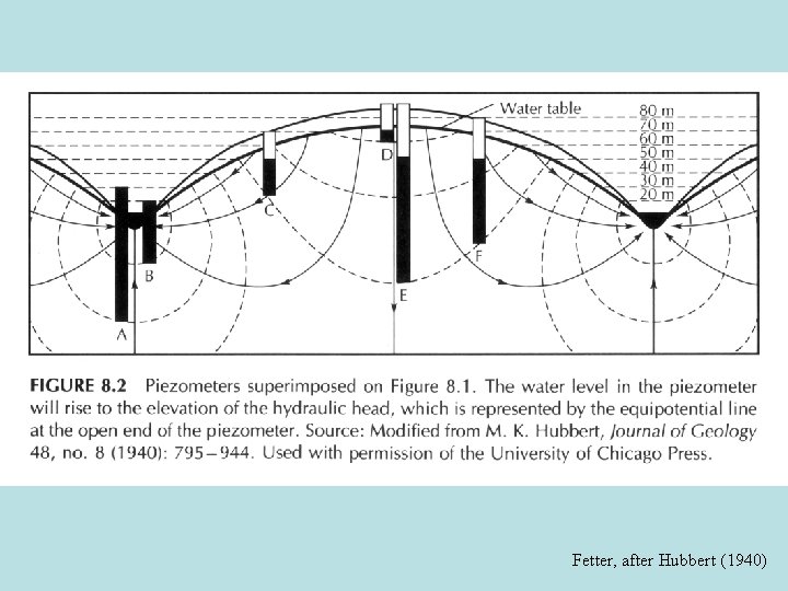 Fetter, after Hubbert (1940) 
