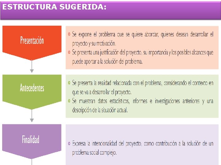 ESTRUCTURA SUGERIDA: 