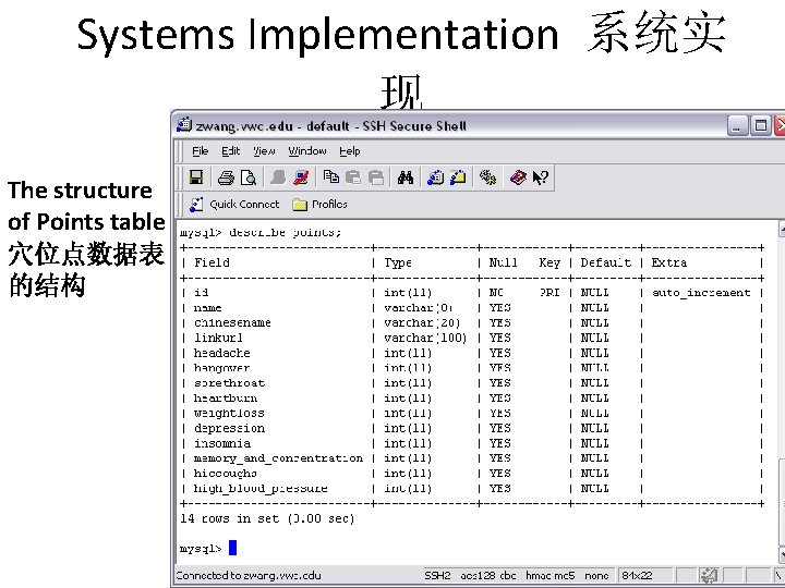 Systems Implementation 系统实 现 The structure of Points table 穴位点数据表 的结构 