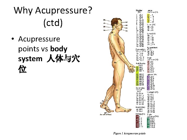 Why Acupressure? (ctd) • Acupressure points vs body system 人体与穴 位 Figure 1 Acupressure