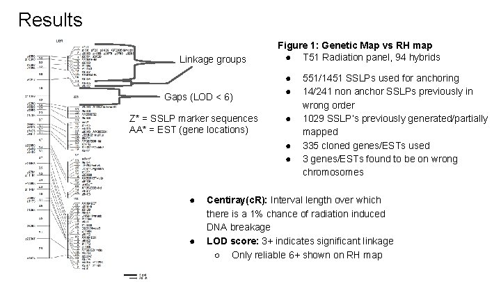 Results Linkage groups Gaps (LOD < 6) Z* = SSLP marker sequences AA* =