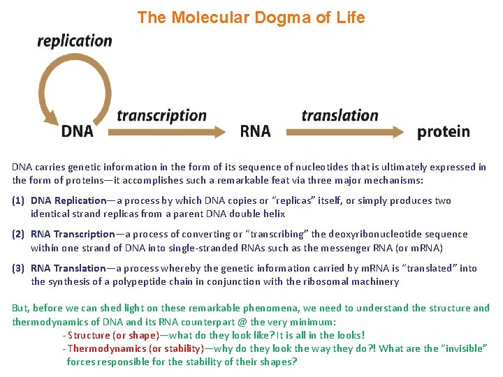 The Molecular Dogma of Life DNA carries genetic information in the form of its