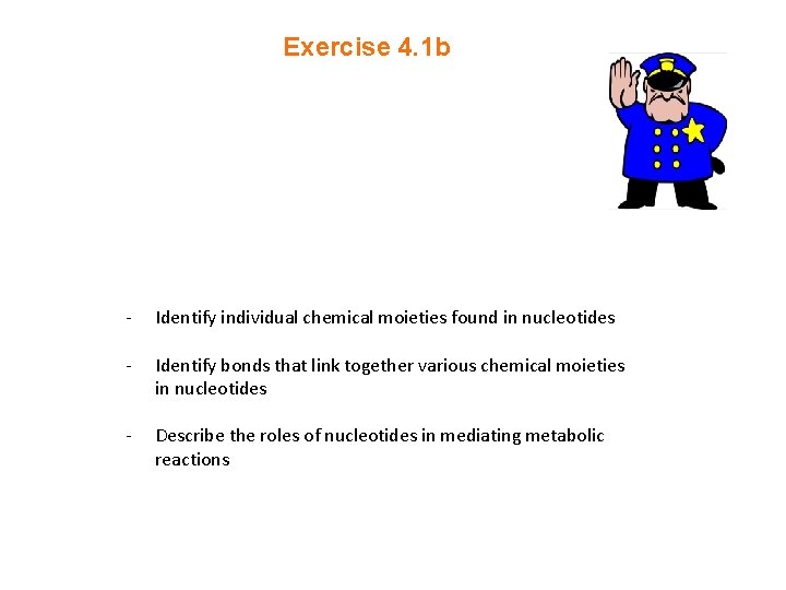 Exercise 4. 1 b - Identify individual chemical moieties found in nucleotides - Identify