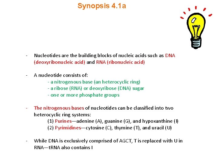 Synopsis 4. 1 a - Nucleotides are the building blocks of nucleic acids such