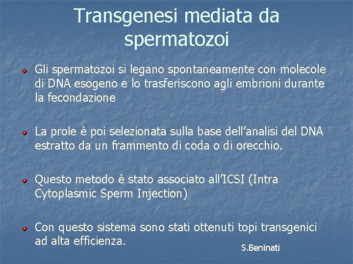 Transgenesi mediata da spermatozoi Gli spermatozoi si legano spontaneamente con molecole di DNA esogeno