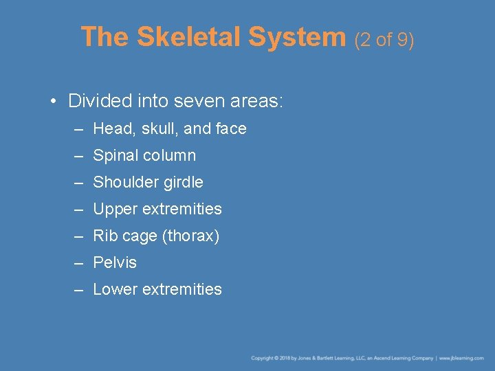 The Skeletal System (2 of 9) • Divided into seven areas: – Head, skull,