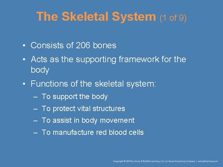 The Skeletal System (1 of 9) • Consists of 206 bones • Acts as