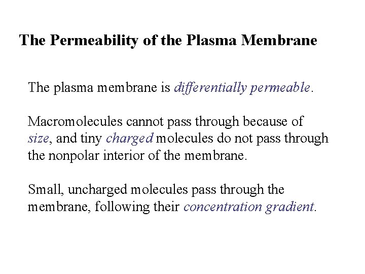 The Permeability of the Plasma Membrane The plasma membrane is differentially permeable. Macromolecules cannot