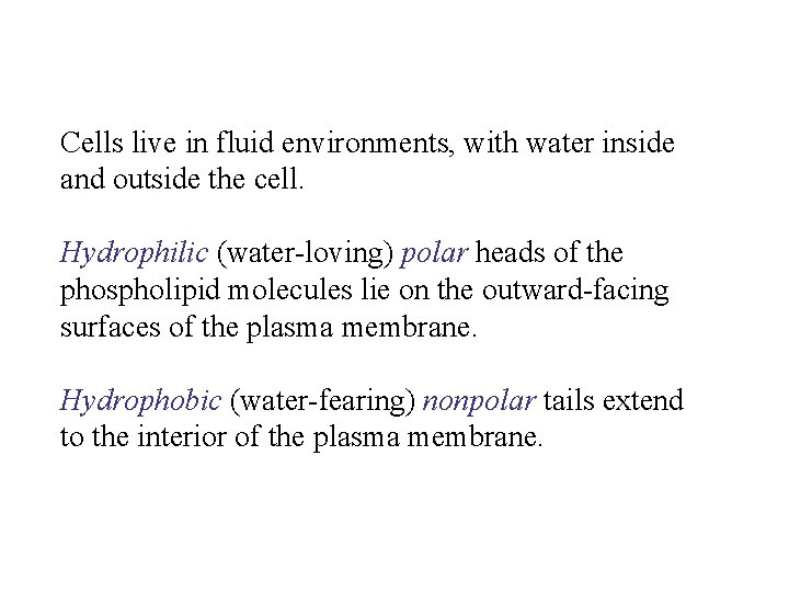Cells live in fluid environments, with water inside and outside the cell. Hydrophilic (water-loving)