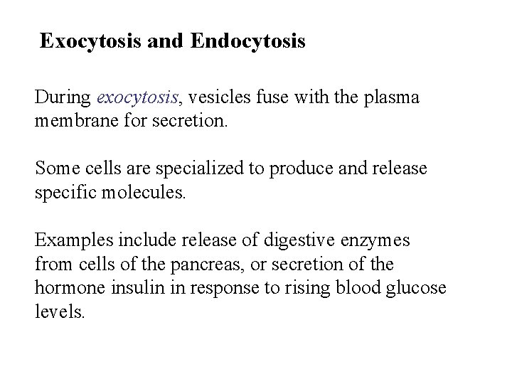 Exocytosis and Endocytosis During exocytosis, vesicles fuse with the plasma membrane for secretion. Some