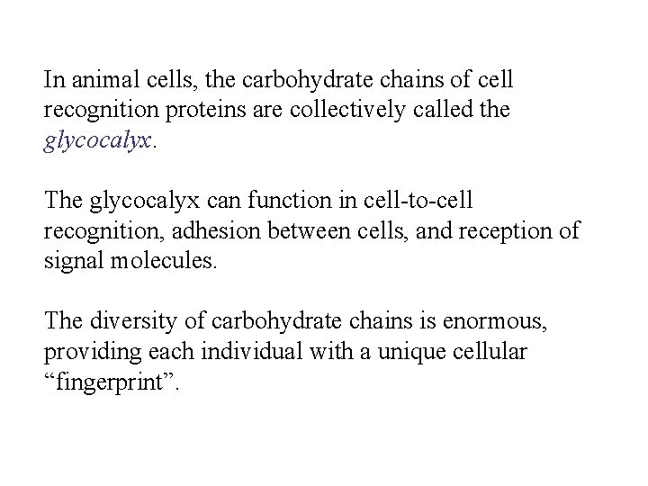 In animal cells, the carbohydrate chains of cell recognition proteins are collectively called the
