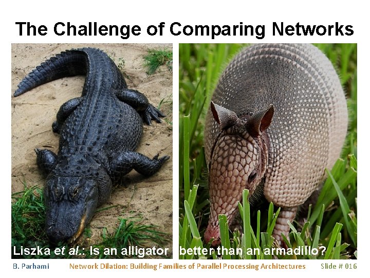 The Challenge of Comparing Networks Liszka et al. : Is an alligator better than The Challenge of Comparing Networks Liszka et al. : Is an alligator better than