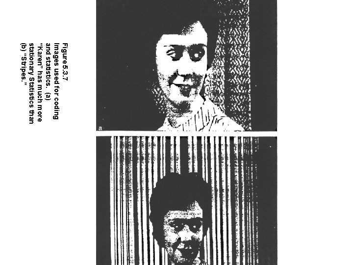 Figure 5. 3. 7 Images used for coding and statistics. (a) “Karen” has much Figure 5. 3. 7 Images used for coding and statistics. (a) “Karen” has much