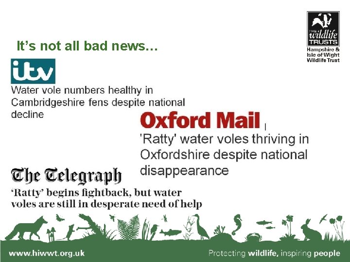 It’s not all bad news… www. hiwwt. org. uk Protecting wildlife, inspiring people 
