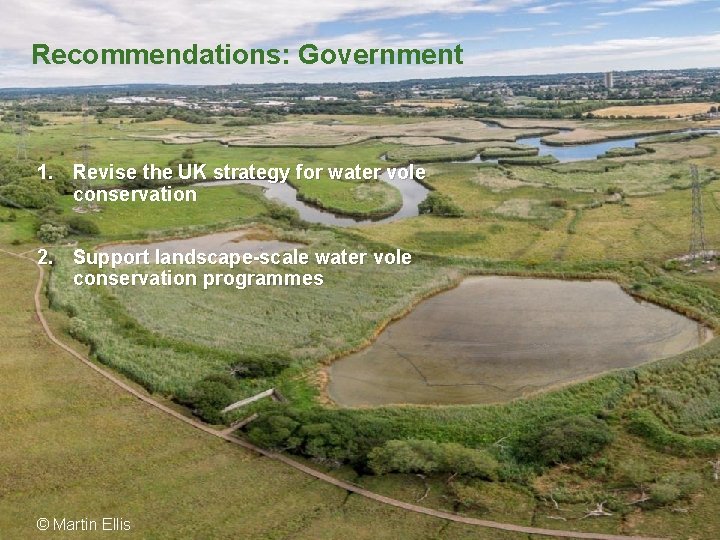 Recommendations: Government 1. Revise the UK strategy for water vole conservation 2. Support landscape-scale