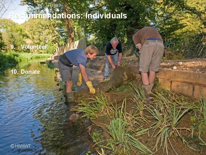 Recommendations: Individuals 9. Volunteer 10. Donate © HIWWT www. hiwwt. org. uk Protecting wildlife,