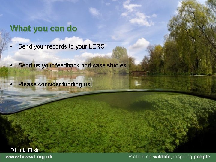 What you can do • Send your records to your LERC • Send us