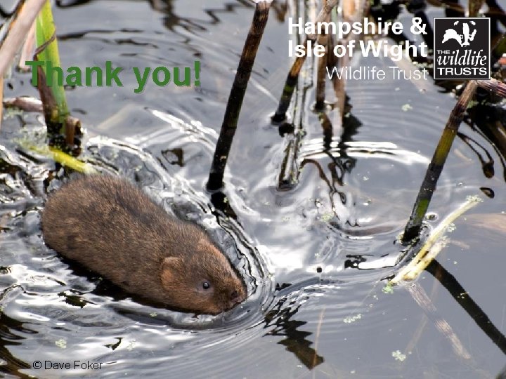 Thank you! www. hiwwt. org. uk © Dave Foker Protecting wildlife, inspiring people 