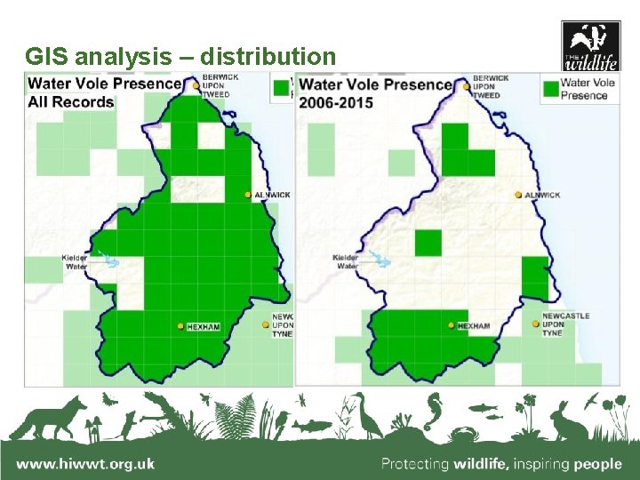 GIS analysis – distribution www. hiwwt. org. uk Protecting wildlife, inspiring people 