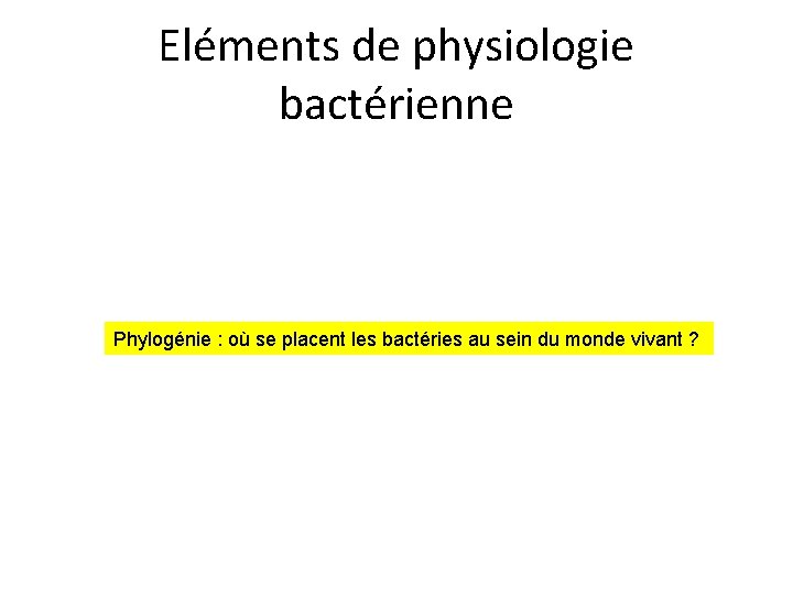 Eléments de physiologie bactérienne Phylogénie : où se placent les bactéries au sein du
