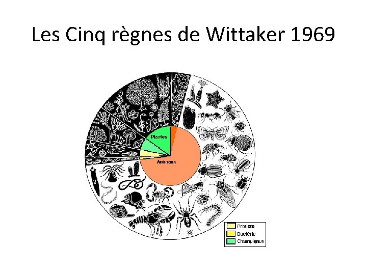 Les Cinq règnes de Wittaker 1969 